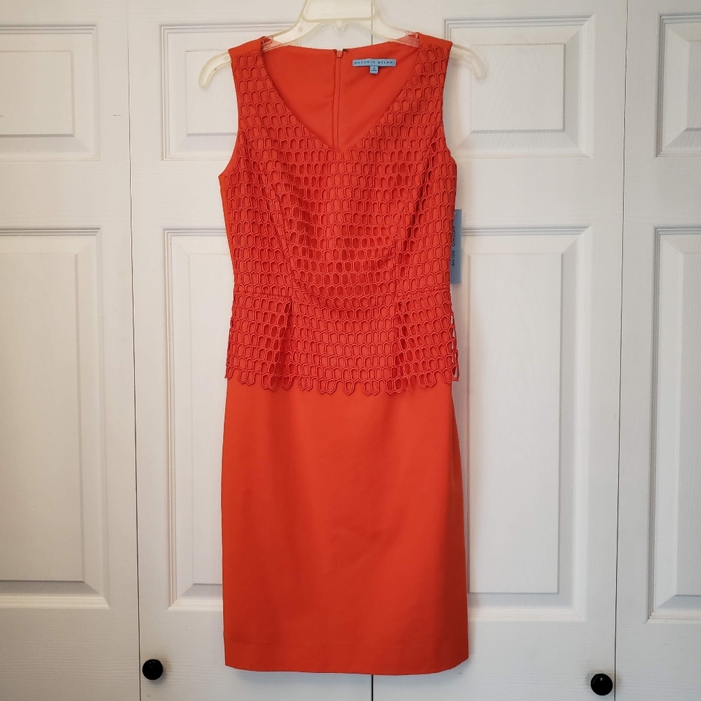 Antonio Melani Eudice Dress size 2